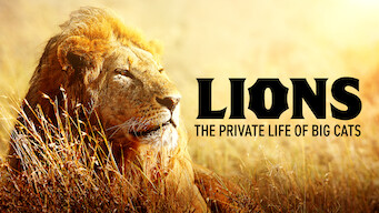 Lions – The Private Life of Big Cats (2016)