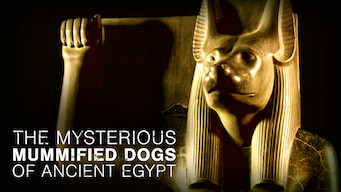 The Mysterious Mummified Dogs of Ancient Egypt (2019)