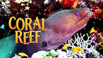 Coral Reef (2013)