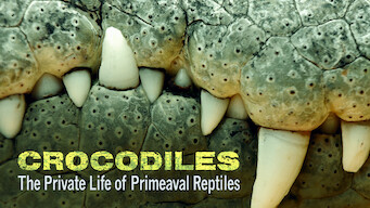 Crocodiles – The Private Life of Primeaval Reptiles (2011)