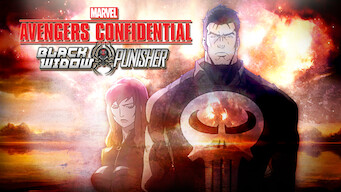 Avengers Confidential: Black Widow & Punisher (2013)