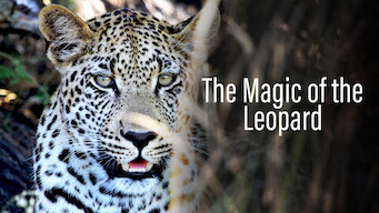 Die Magie des Leoparden (2012)