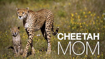 Cheetah Mom (2013)